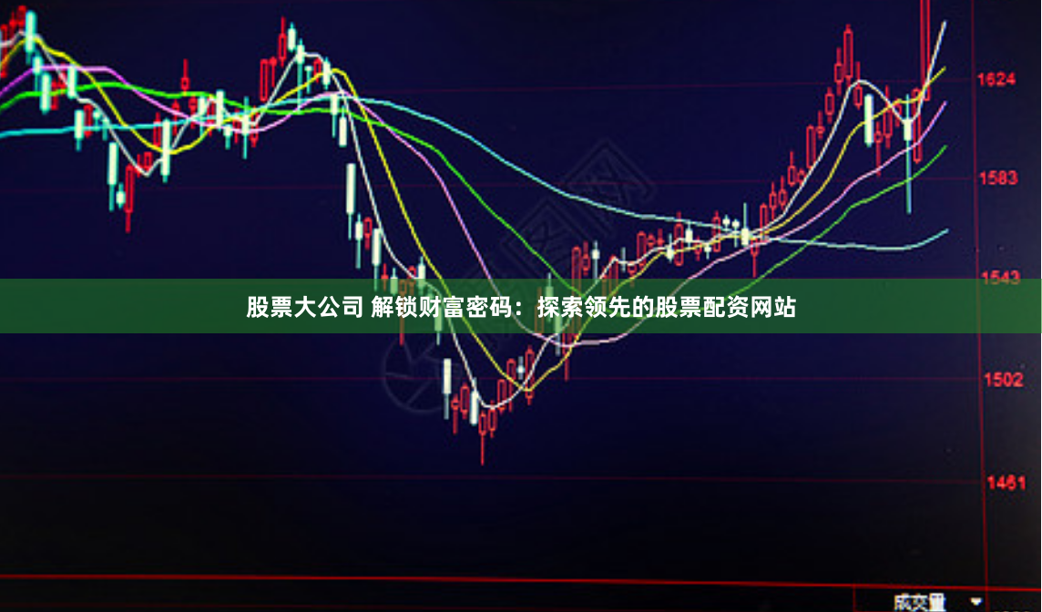 股票大公司 解锁财富密码：探索领先的股票配资网站