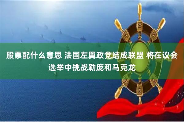 股票配什么意思 法国左翼政党结成联盟 将在议会选举中挑战勒庞和马克龙