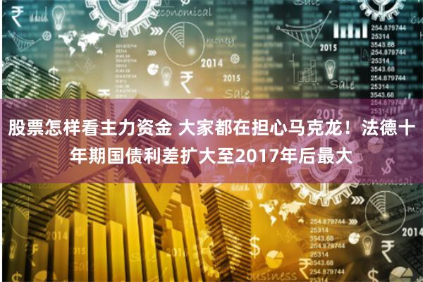 股票怎样看主力资金 大家都在担心马克龙！法德十年期国债利差扩大至2017年后最大